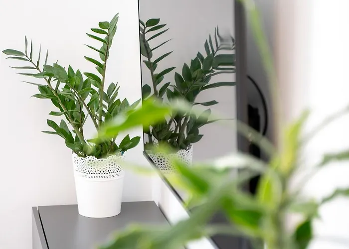 Zora Apartament Lopar