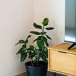 Appartamento Zora