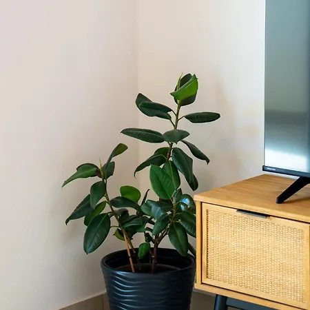 Apartment Zora