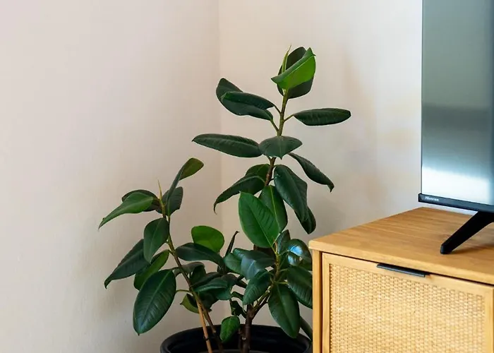 Apartment Zora
